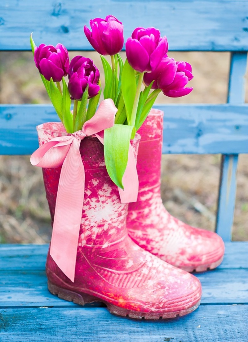 flowers  / dazzling flowers